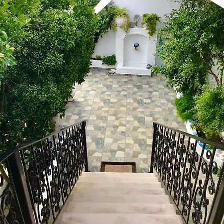 Hébergement de vacances Persephone Megali Ammos (Skiathos)